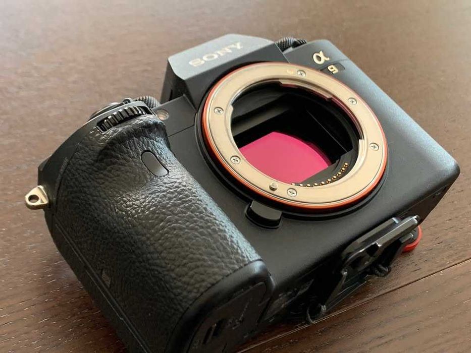 Sony A9 ILCE-9 Alpha 9 Shutter Count 419