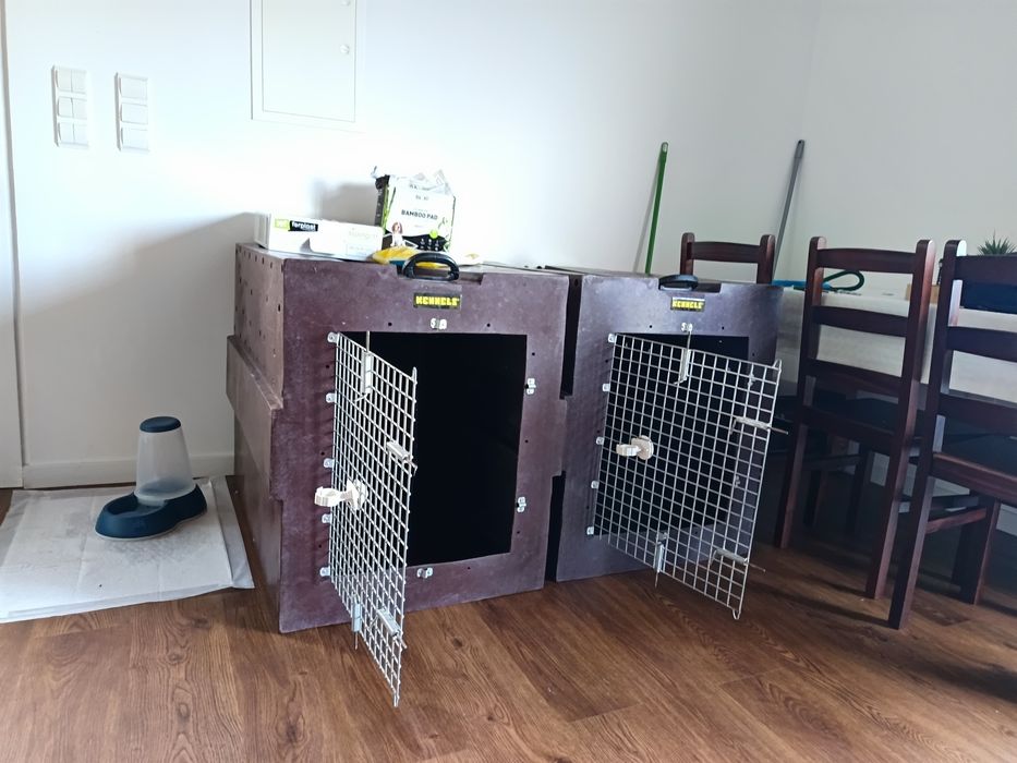 Caixa de transporte kennel