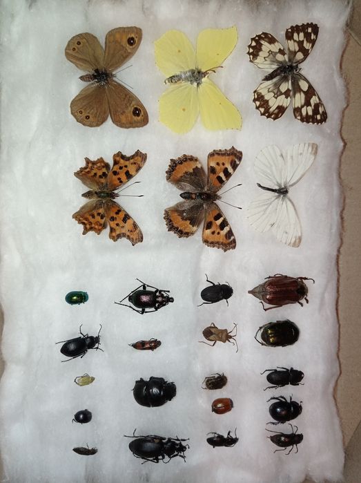 Лео мен Пайпер секс