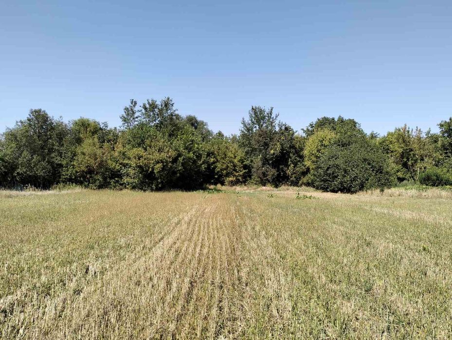 Продам земельну ділянку із старим будинком в селі Іванівка Білоцерківс