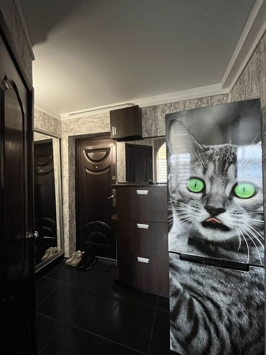 Здам 1 кімн Камʼянське