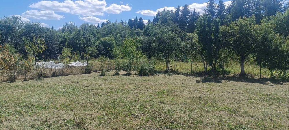 Продам! Земельну ділянку біля лісу в с.Рибне