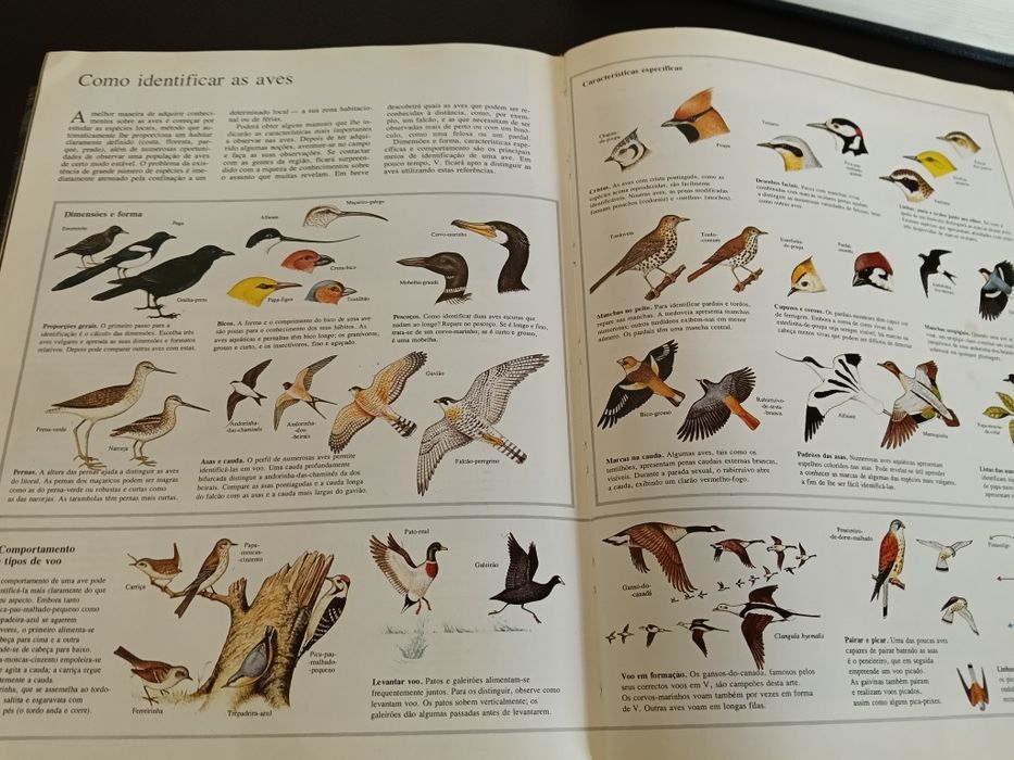 Livro ao encontro da natureza