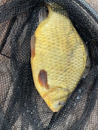 Domek na Mazurach nad jeziorem z linia brzegowa