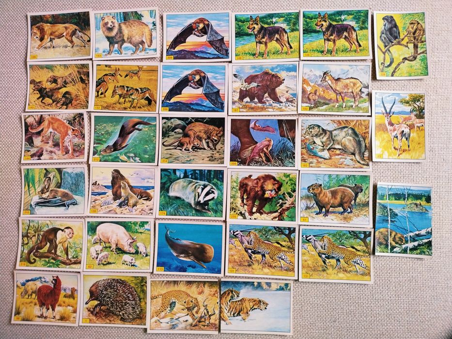 Альбоми Алладин от Panini , RoboCop та інші