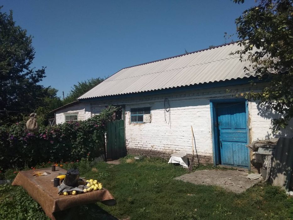 Будинок цегляний з присадибною ділянкою