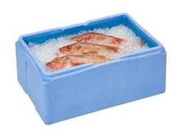 Big box térmica melhor marca mercado conserva transporta quente e frio