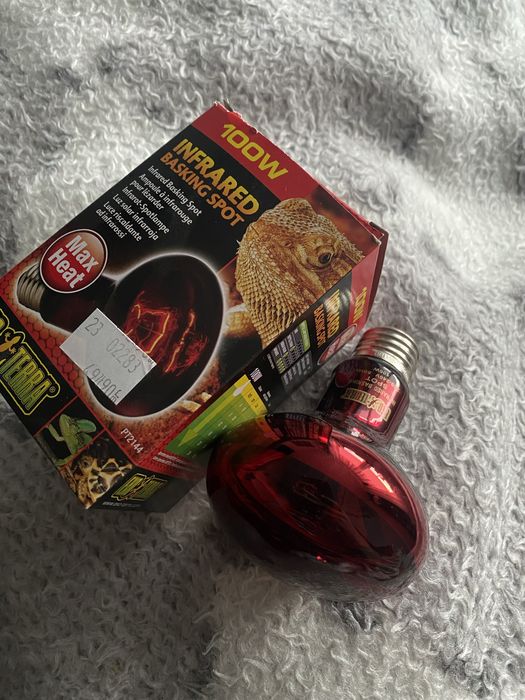 Żarówka grzewcza do terrarium z podczerwienią 100W