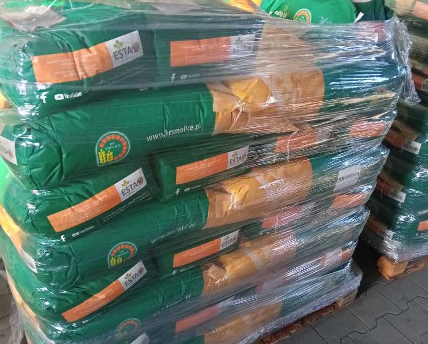 Materiał siewny kukurydza Hulk Rosomak Danubio 80 tys nasion