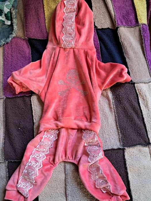 Одяг для собак та котів