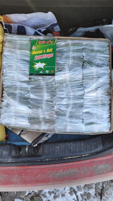 Lep, pułapka  na myszy 30 sztuk.