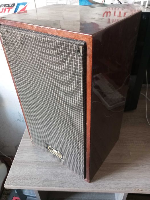 Колонка Вега 25АС-2, с самодельным встроеным усилителем.