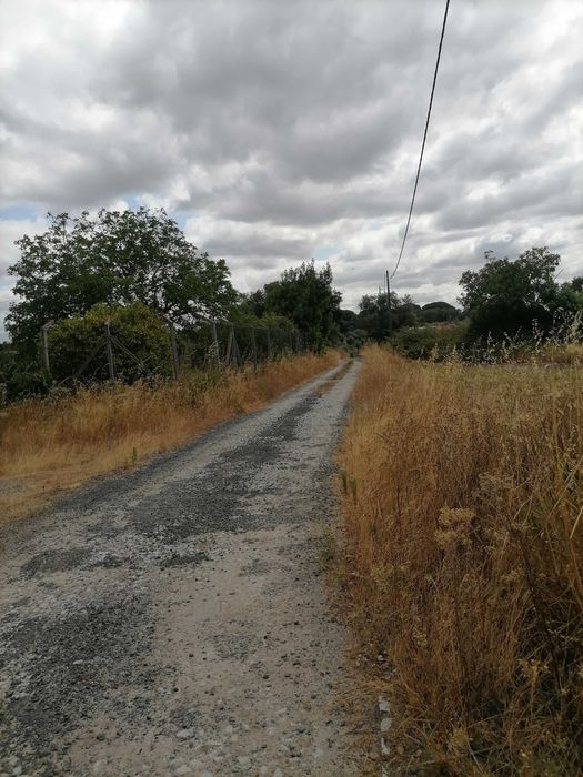 Quinta, com pavilhões