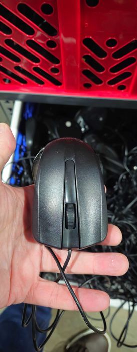 Ratos de várias marcas