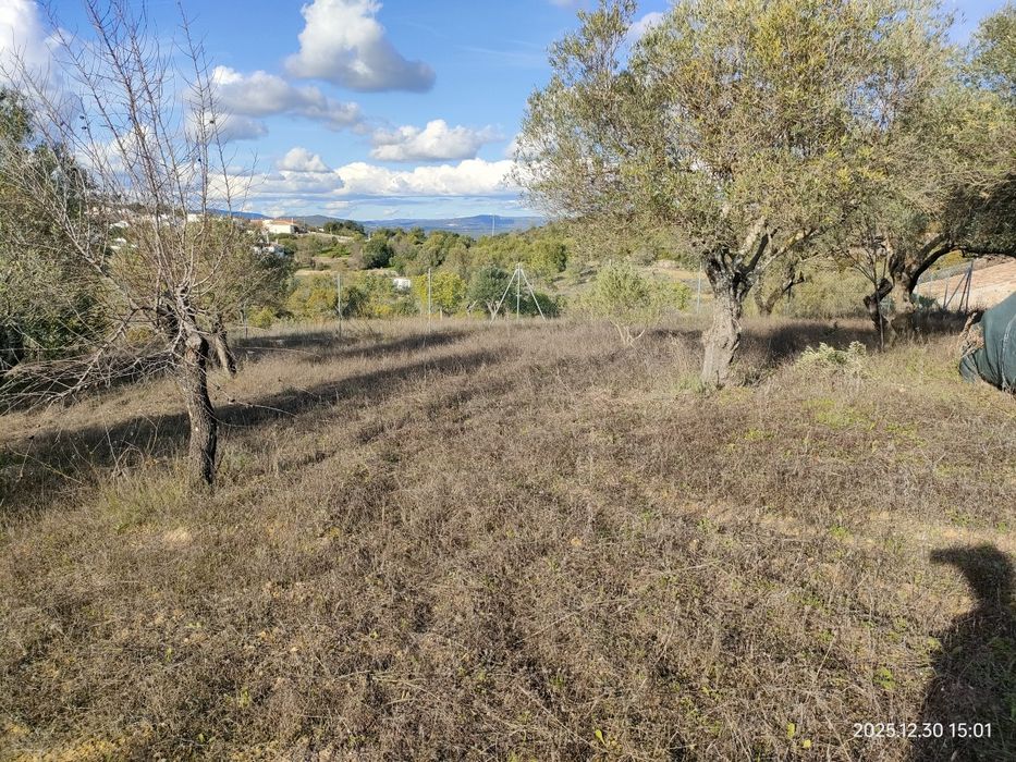 Alugo terreno com anexo