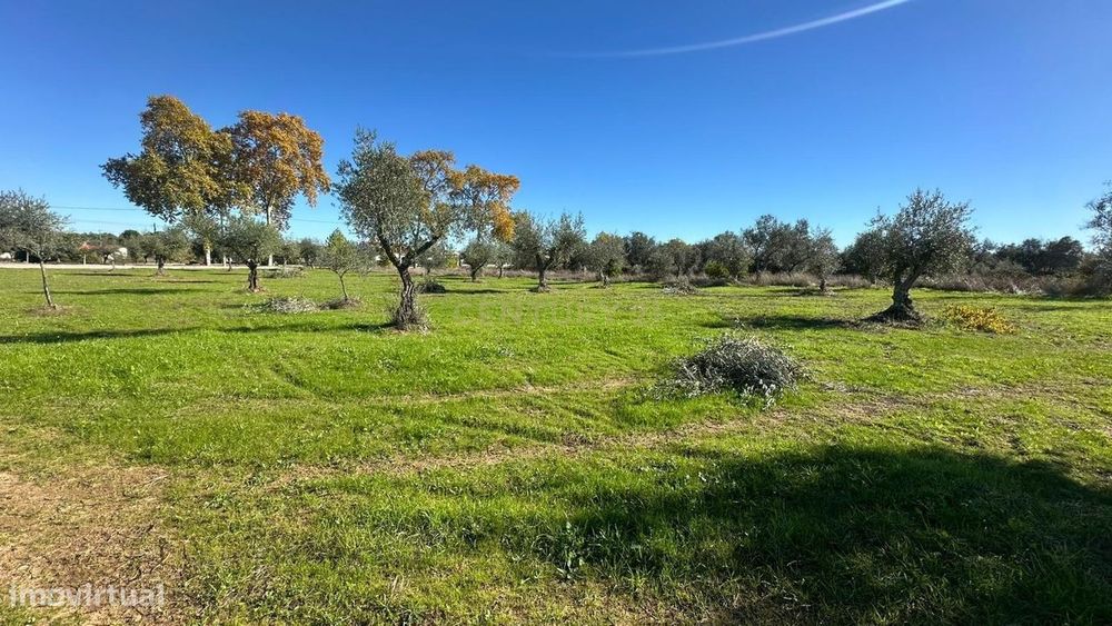 Terreno Rústico em Ladoeiro, Idanha a Nova - 48.000€ — Ladoeiro, Castelo Branco