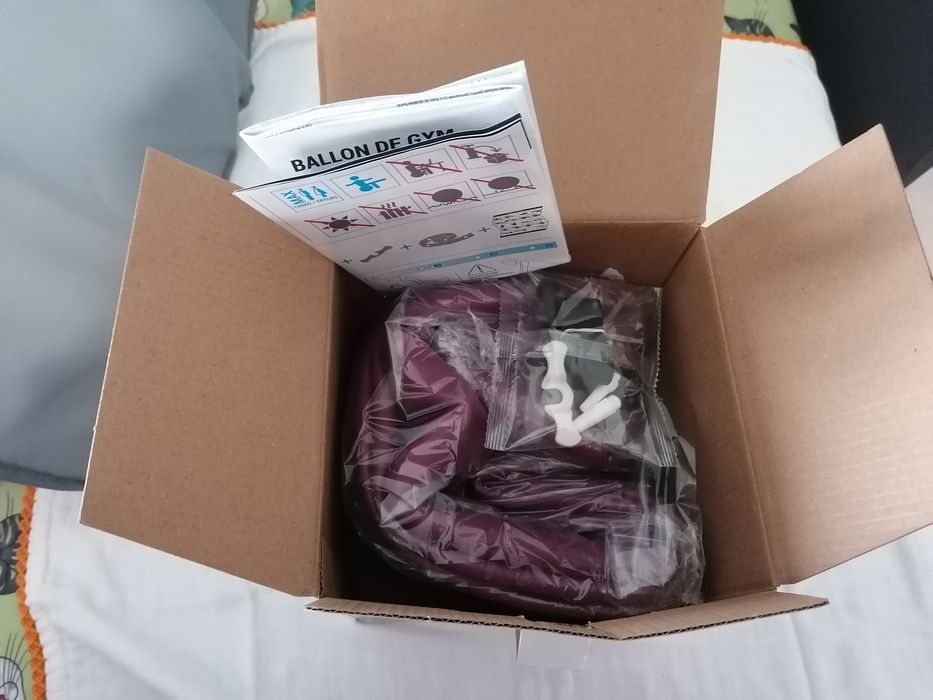 Conjunto Bola de Pilates e Bomba