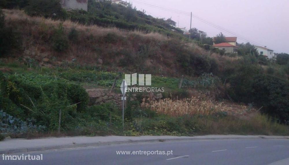 Land for Sale, Santa Marinha do Zêzere, Baião