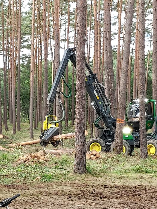 Wycinanie trudnych drzew trudnych, koszenia