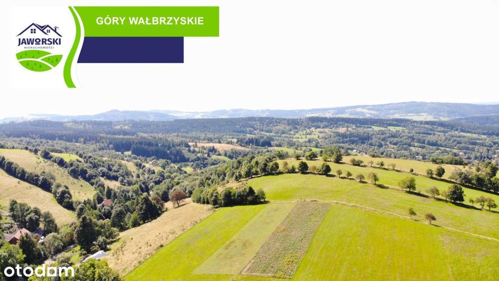 Działka budowlana w Sierpnicy - warunki zabudowy - Widok 4