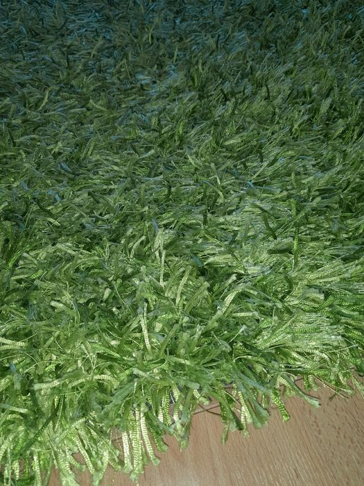 Carpete verde / verde brilho