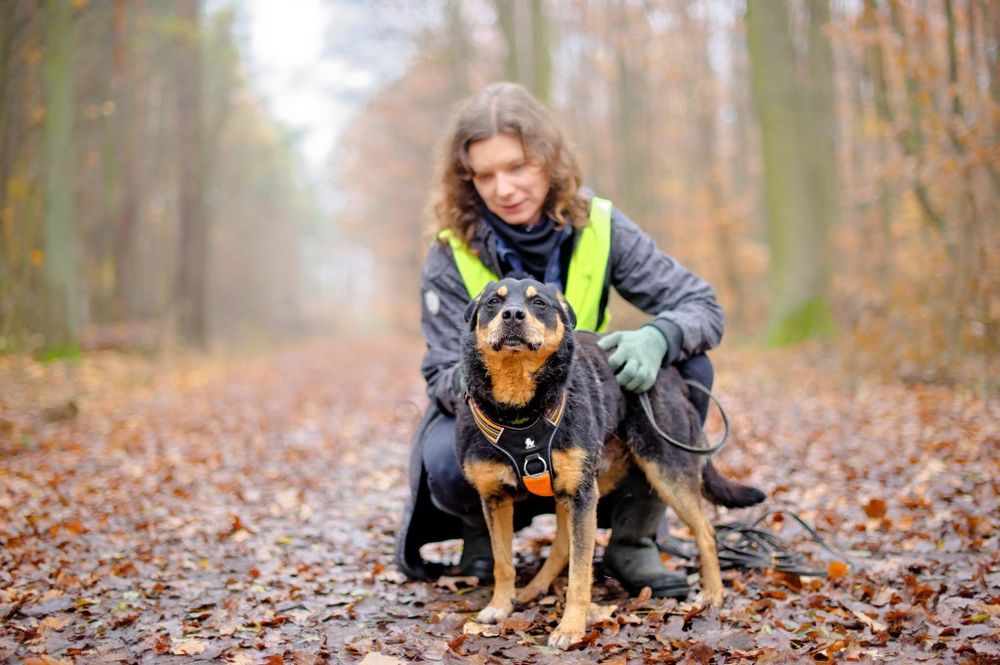 Blagamy o dom dla Snapiego