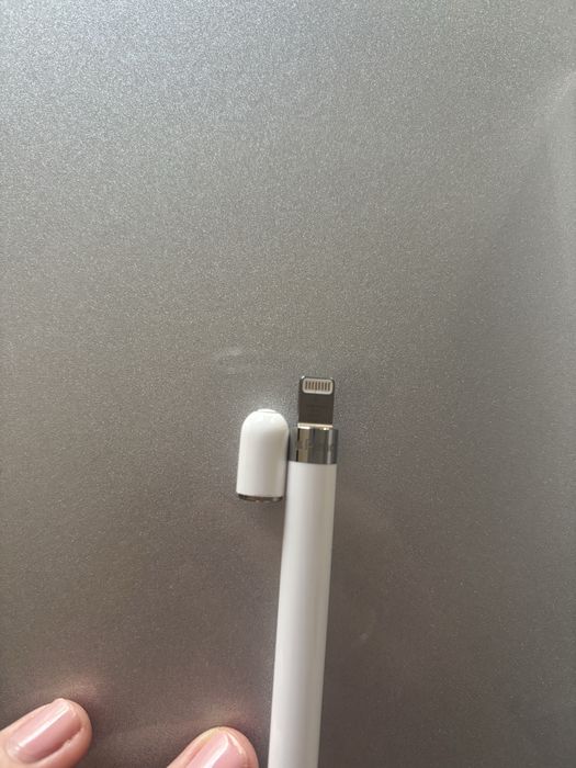 Apple Pencil 1ª geração