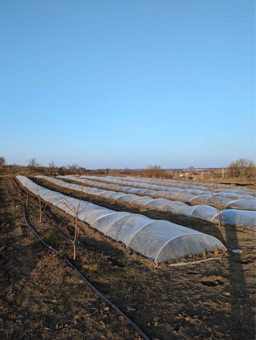 Опори для рослин Композитні Зелені Агро