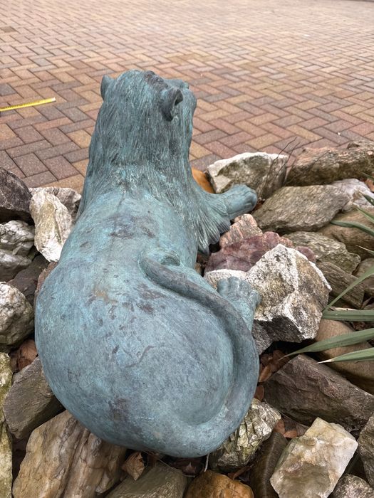 Stare lwy orientalne z brązu lew kolekcja