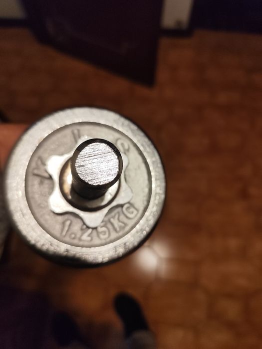 Conjunto de halteres