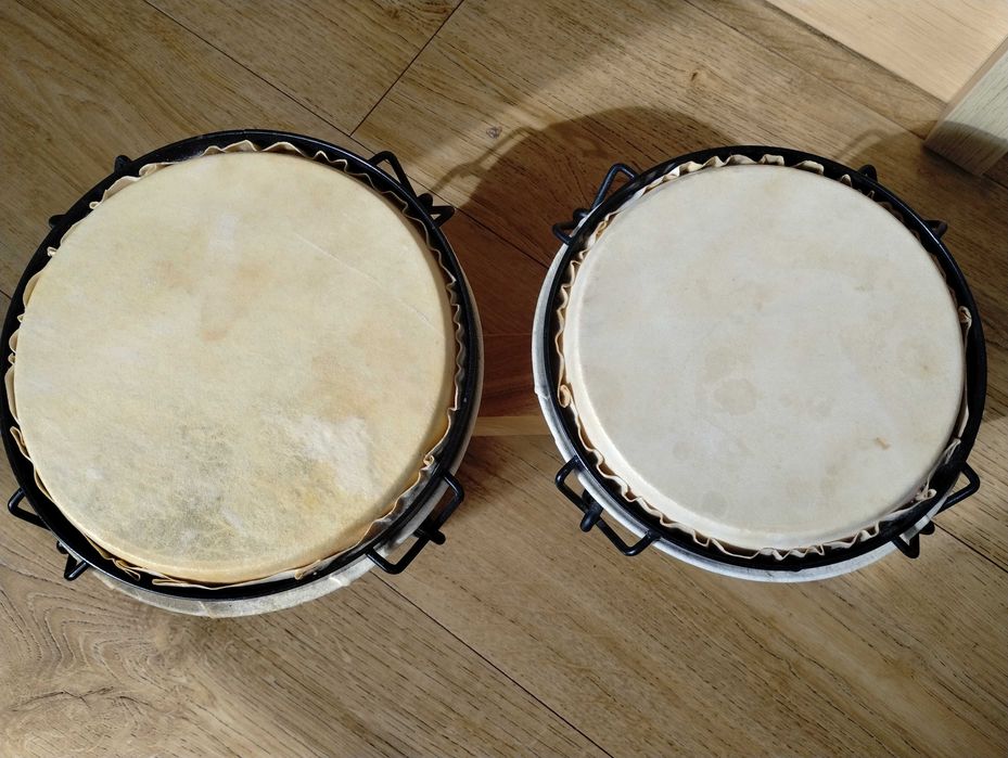 Bongosy - oryginalen