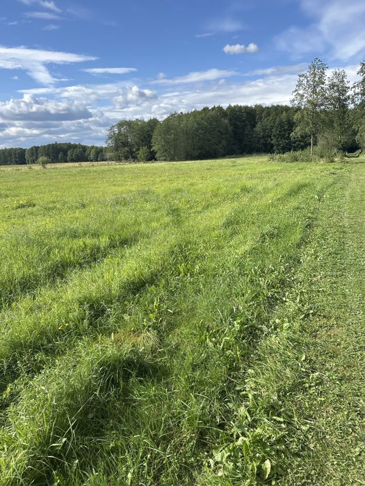 Piękna działka ze stawem przy lesie 3200 m' - Warunki Zabudowy, woda , nowa droga miejscowość Stawki nr 129/9
