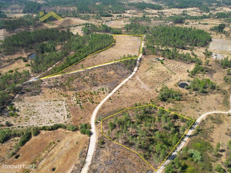 Oportunidade de Investimento - 2 Terrenos Rústicos — Sarzedas, Castelo Branco