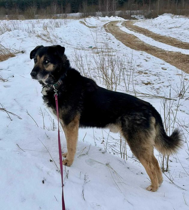 Major czeka na odpowiedzialny dom
