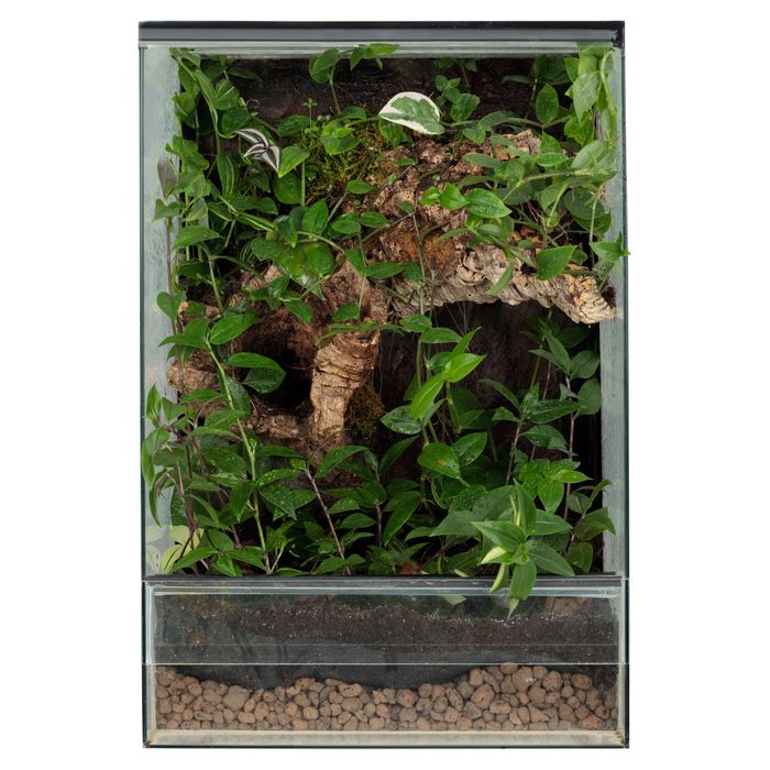 Terrarium paludarium vivarium