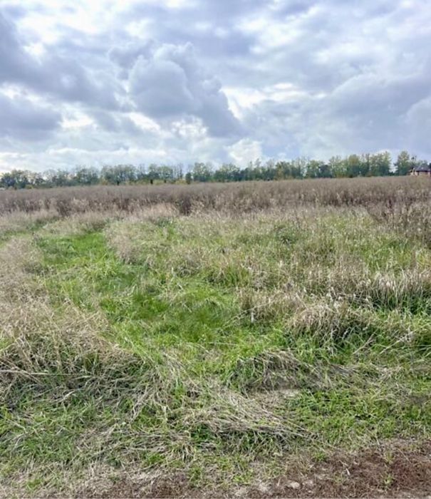 Продаж земельної ділянки в Бохониках!!!