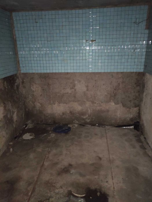 Продається будинок в с. Бедевля