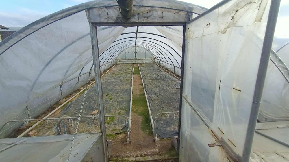 Tunel foliowy 5m x 15m ocynk