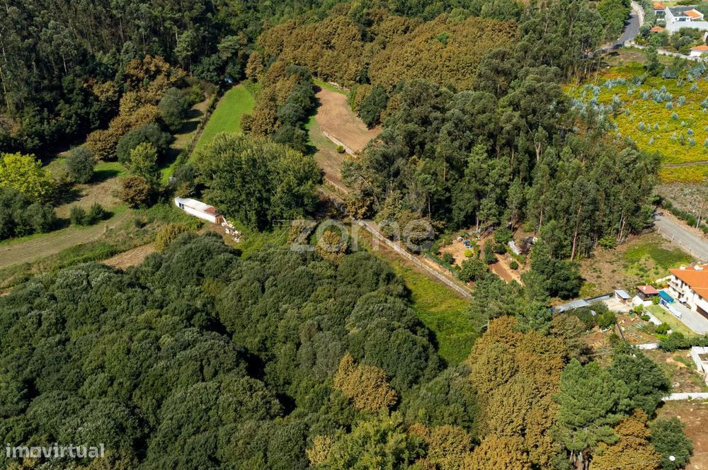 Terreno campo agrícola, mina de água, Rua das Cavadinhas, Sandim, G...