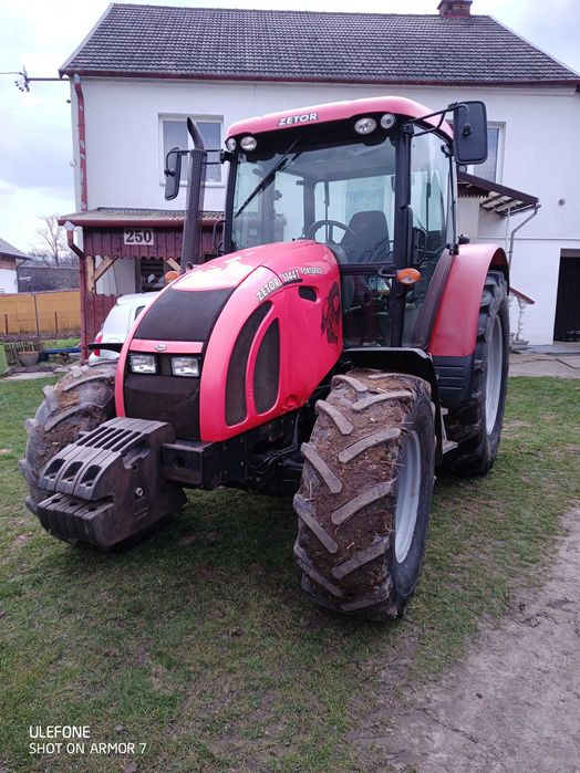 Odam suczke za darmo