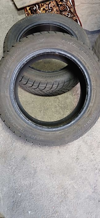 Шини зимові пара 205/55 R16 91Т