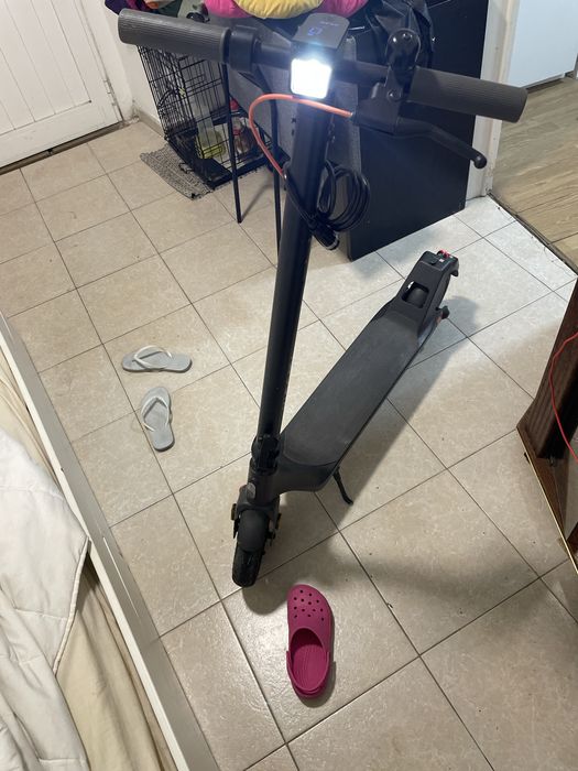 Trotnet em bom estado
