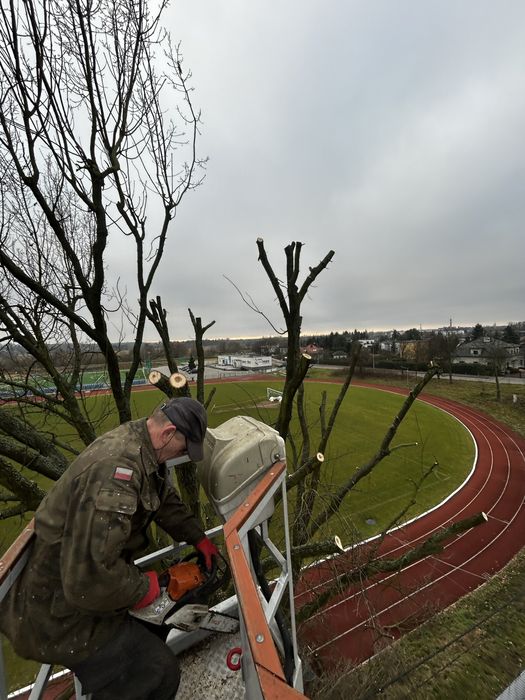 Tania wycinka drzew przycinanie frezowanie korzeni Wertykulacja wywóz