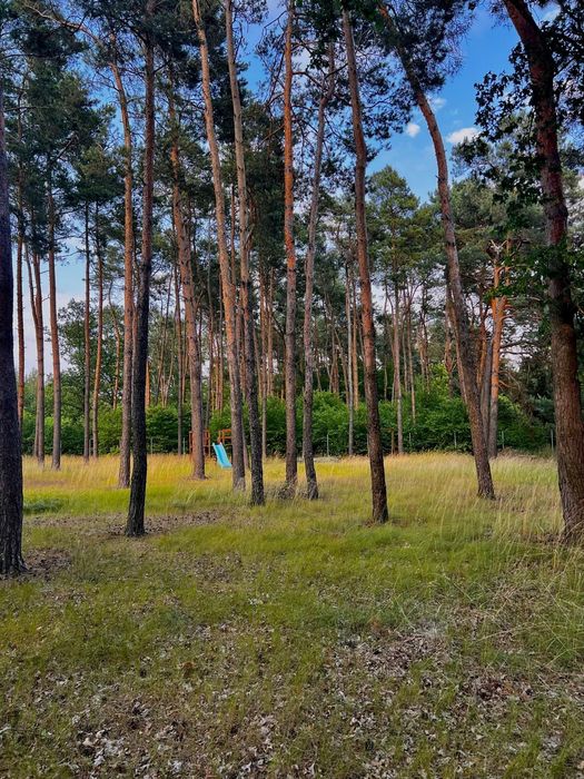 Działka Kzywiec / Rąbień AB 1450m rolno-leśna