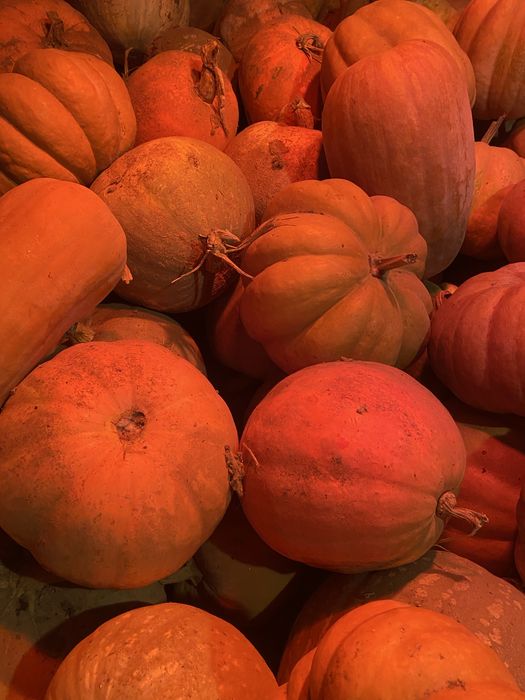 Продам кашний гарбуз