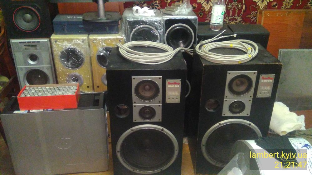 пара акустичних систем