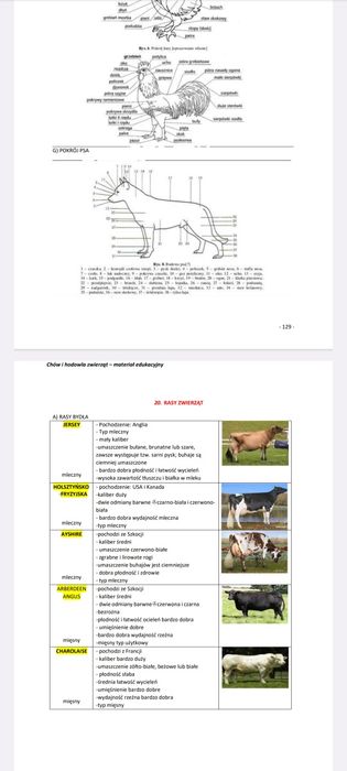 NOTATKI Technik weterynarii 2026 - Chów i hodowla zwierząt ANATOMIA