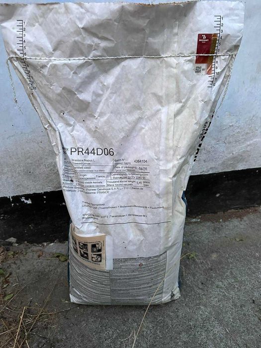 Рапс PR44D06 насіння озимого ріпаку