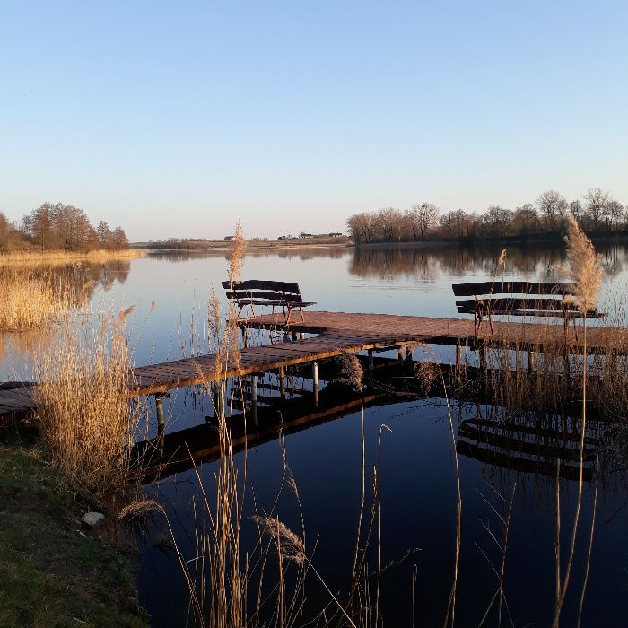 Domek z linią brzegową - Giżycko zapraszamy wędkarzy