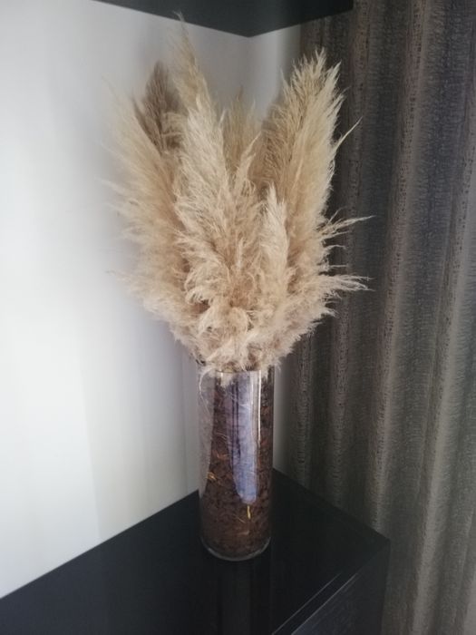 Centro Capim dos Pampas (Ler anúncio)